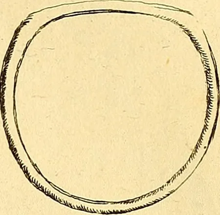 An illustration from Recueil d'antiquités égyptiennes, étrusques, greques et romaines, 1752, leaf 326