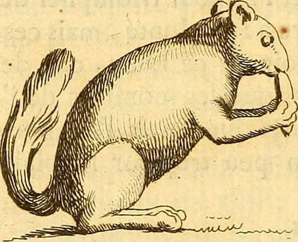An illustration from Recueil d'antiquités égyptiennes, étrusques, greques et romaines, 1752, leaf 33