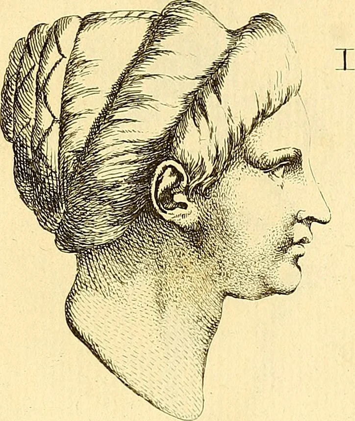 An illustration from Recueil d'antiquités égyptiennes, étrusques, greques et romaines, 1752, leaf 454