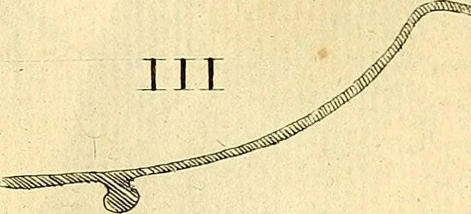 An illustration from Recueil d'antiquités égyptiennes, étrusques, greques et romaines, 1752, leaf 584