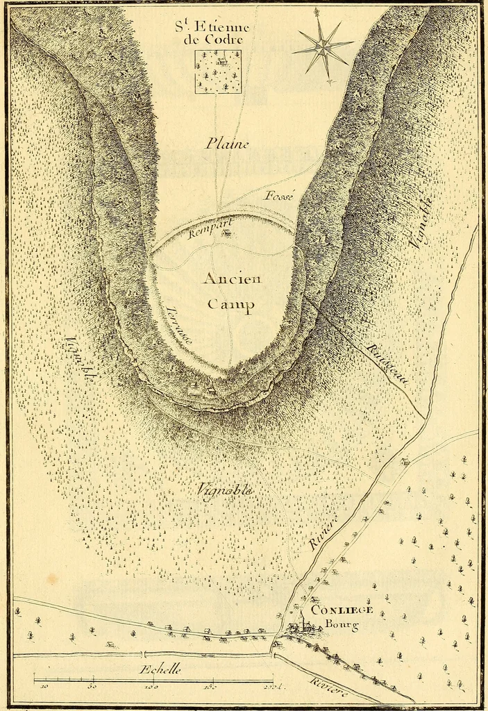 An illustration from Recueil d'antiquités égyptiennes, étrusques, greques et romaines, 1752, leaf 586