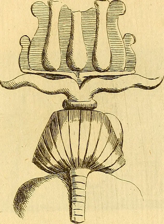 An illustration from Recueil d'antiquités égyptiennes, étrusques, greques et romaines, 1752, leaf 116