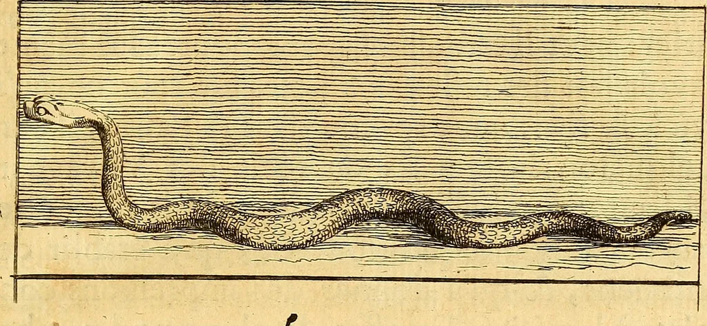 An illustration from Recueil d'antiquités égyptiennes, étrusques, greques et romaines, 1752, leaf 12