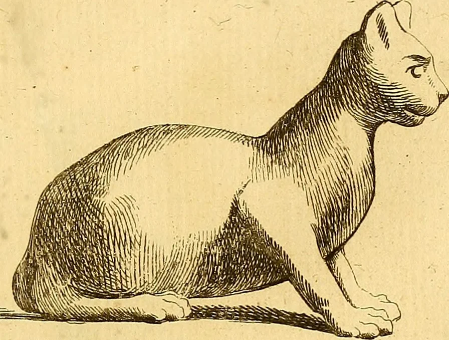 An illustration from Recueil d'antiquités égyptiennes, étrusques, greques et romaines, 1752, leaf 134