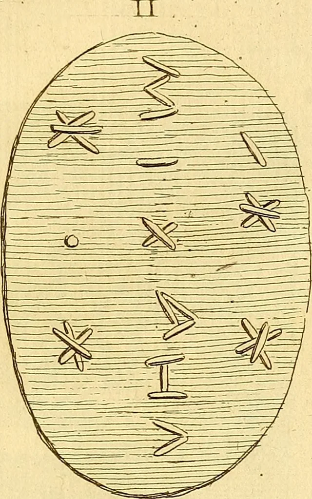 An illustration from Recueil d'antiquités égyptiennes, étrusques, greques et romaines, 1752, leaf 142