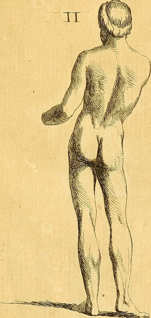 An illustration from Recueil d'antiquités égyptiennes, étrusques, greques et romaines, 1752, leaf 320
