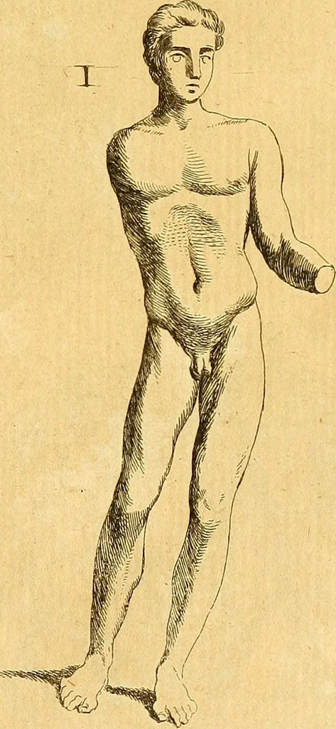 An illustration from Recueil d'antiquités égyptiennes, étrusques, greques et romaines, 1752, leaf 320