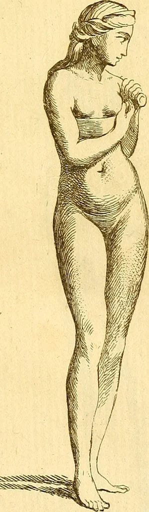 An illustration from Recueil d'antiquités égyptiennes, étrusques, greques et romaines, 1752, leaf 496