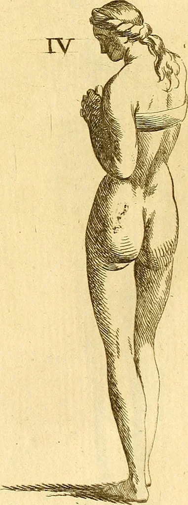 An illustration from Recueil d'antiquités égyptiennes, étrusques, greques et romaines, 1752, leaf 496
