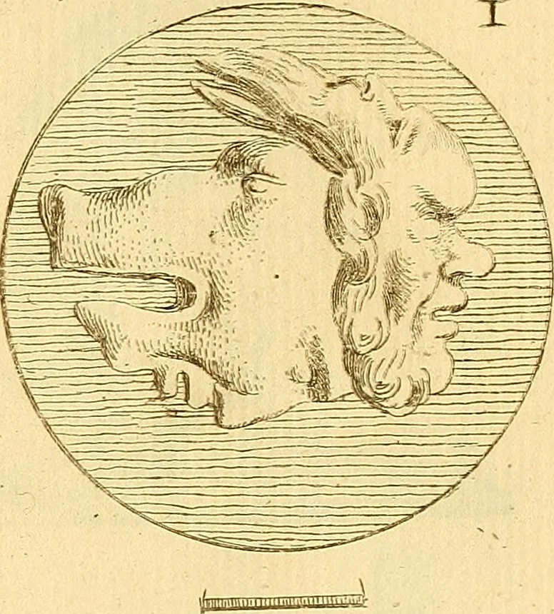 An illustration from Recueil d'antiquités égyptiennes, étrusques, greques et romaines, 1752, leaf 538