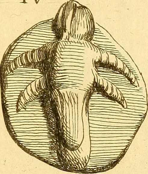 An illustration from Recueil d'antiquités égyptiennes, étrusques, greques et romaines, 1752, leaf 544