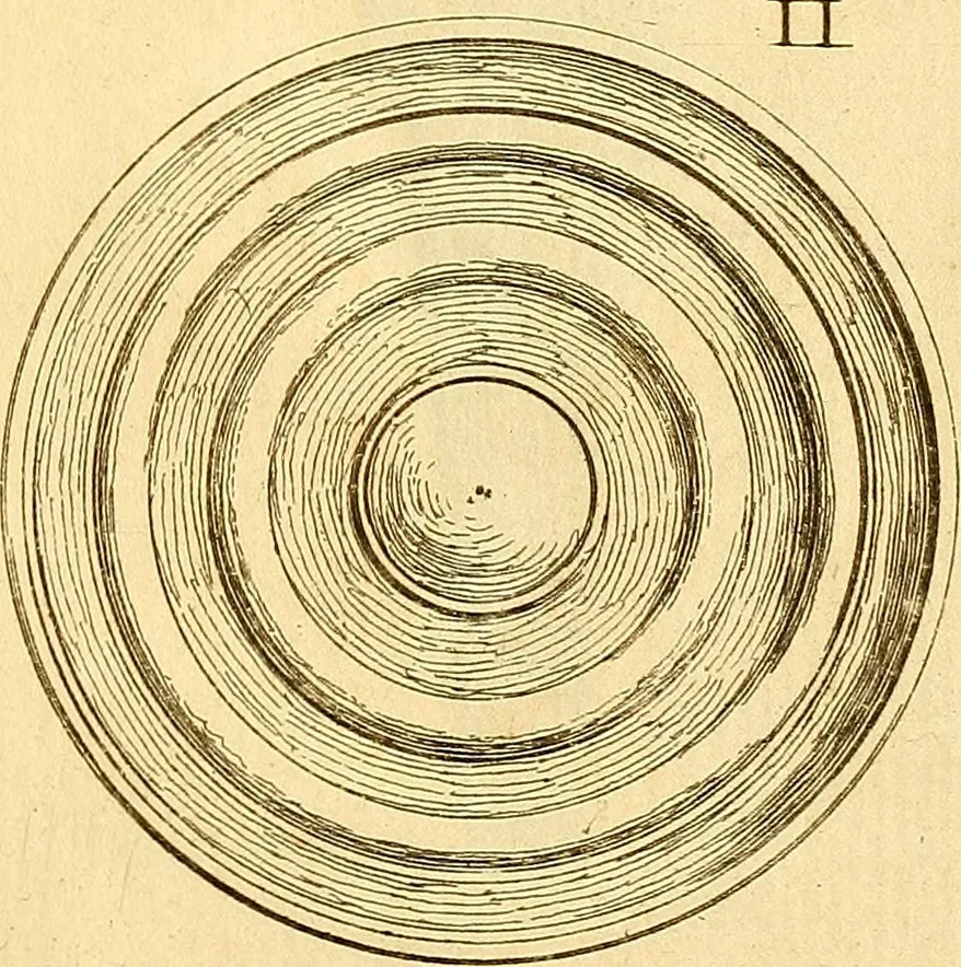 An illustration from Recueil d'antiquités égyptiennes, étrusques, greques et romaines, 1752, leaf 692