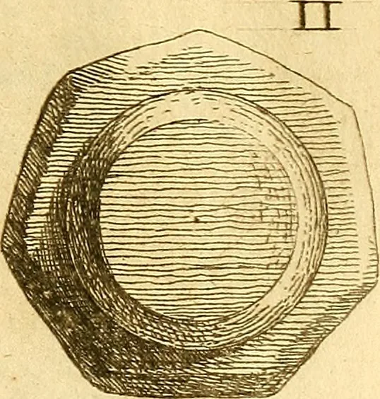 An illustration from Recueil d'antiquités égyptiennes, étrusques, greques et romaines, 1752, leaf 696