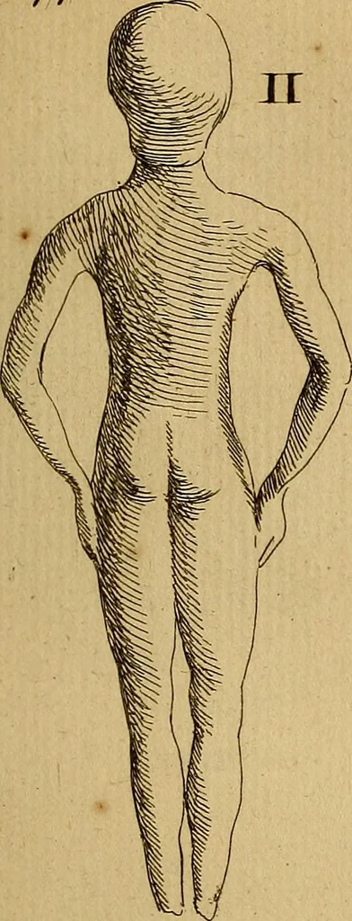 An illustration from Recueil d'antiquités égyptiennes, étrusques, greques et romaines, 1752, leaf 222