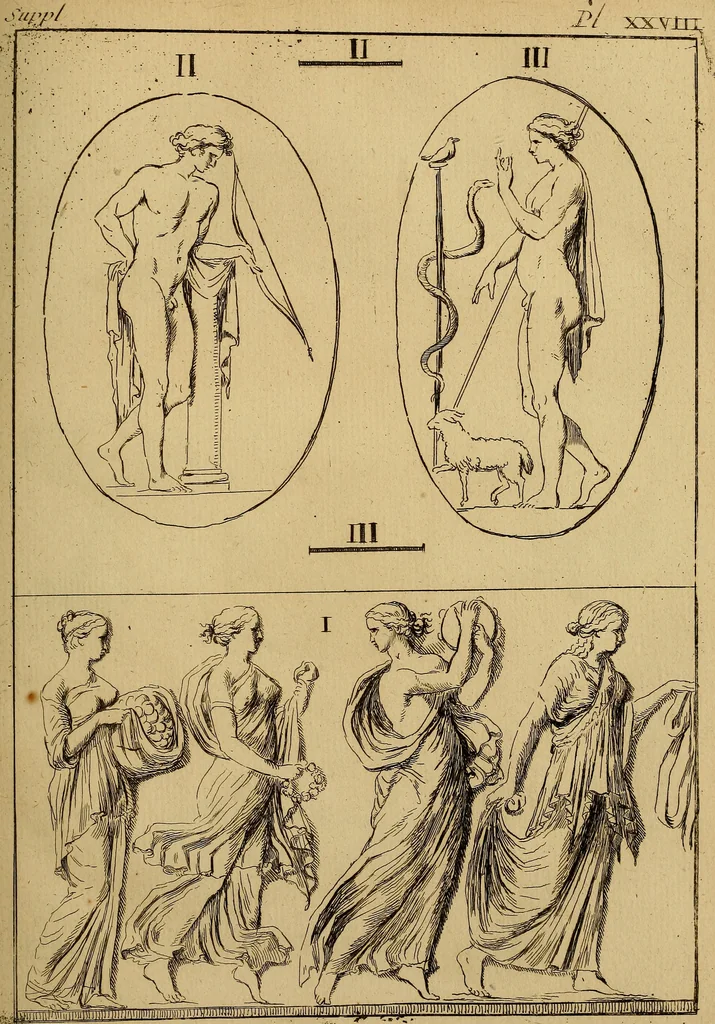 An illustration from Recueil d'antiquités égyptiennes, étrusques, greques et romaines, 1752, leaf 274