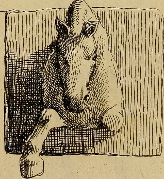 An illustration from Recueil d'antiquités égyptiennes, étrusques, greques et romaines, 1752, leaf 362