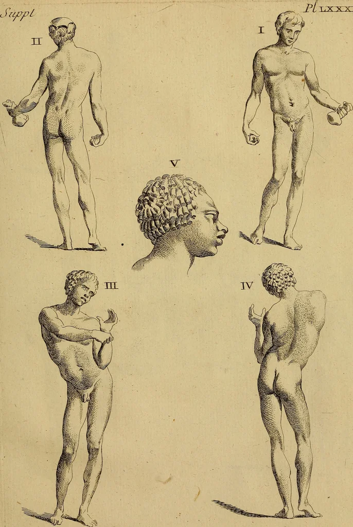 An illustration from Recueil d'antiquités égyptiennes, étrusques, greques et romaines, 1752, leaf 530