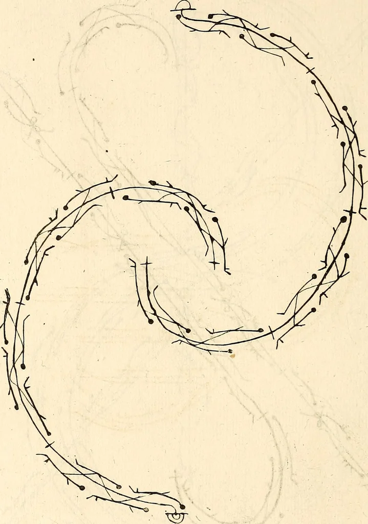 An illustration from Recueil de danses,, 1700, leaf 11