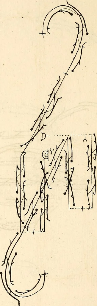 An illustration from Recueil de danses,, 1700, leaf 13