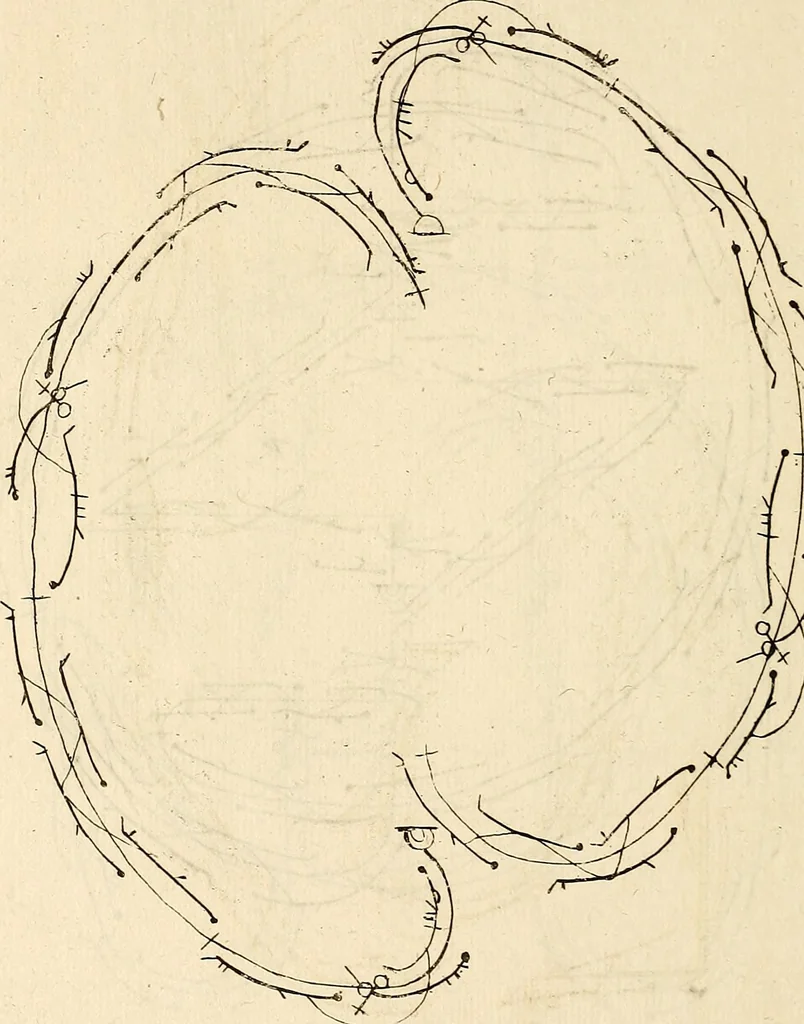 An illustration from Recueil de danses,, 1700, leaf 35
