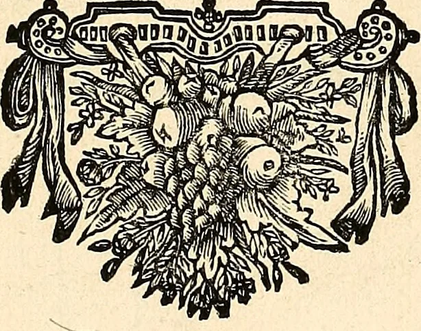 An illustration from Recueil de danses,, 1700, leaf 4