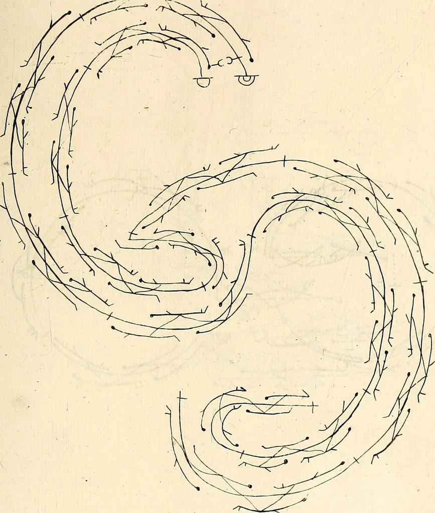 An illustration from Recueil de danses,, 1700, leaf 54