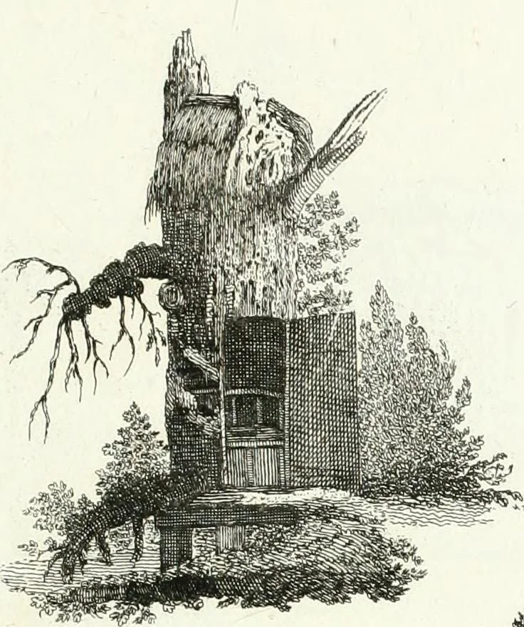 An illustration from Recueil de dessins d'une execution peu dispendieuse : contenans des plans de petites maisons de campagne, petits pavillons de jardins, temples, hermitages, chaumieres, monumens, obélisques, ruines, portails, portes, grilles, bancs de jardins, chaises, volieres, gondoles, ponts, etc. : ouvrage intéressant pour cette classes d'amateurs, qui sans faire de grandes dépenses, sont pourtant bien aises d'embellir leurs jardins d'ornamens nouveaux et pleins de goût, 1805, leaf 66