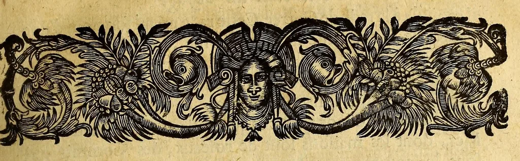 An illustration from Recueil de divers voyages faits en Afrique et en l'Amerique, qui n'on t point esté encore publiez; : contenant l'origine, les moeurs, les coûtumes & le commerce des habitans de ces deux parties du monde. : Avec des traitez curieux touchant la Haute Ethyopie, le débordement du Nil, la mer Rouge, & le Prete-Jean. : Le tout enrichi de figures, & de cartes geographiques, qui servent à l'intelligence des choses contenuës en ce volume, 1674, leaf 15
