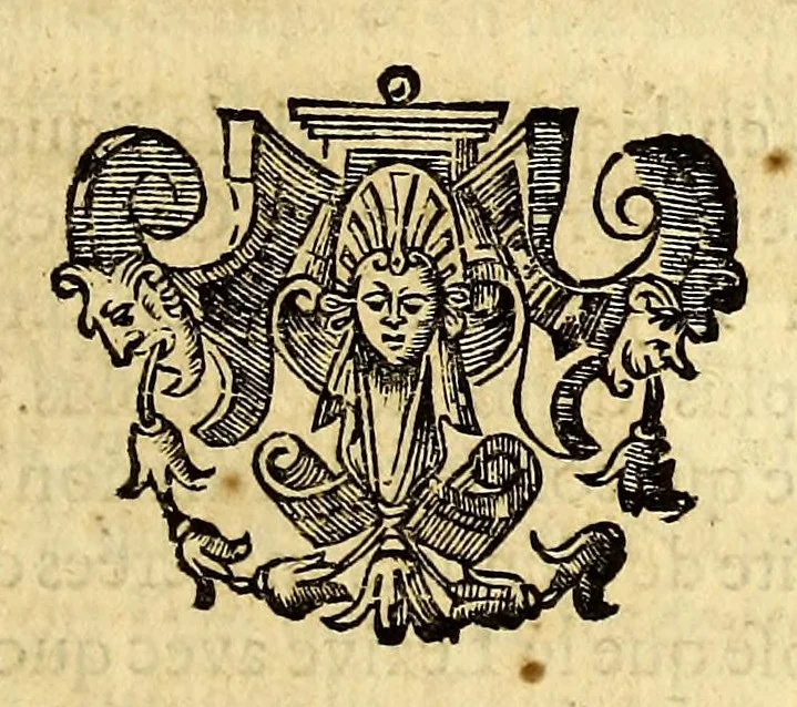 An illustration from Recueil de divers voyages faits en Afrique et en l'Amerique, qui n'on t point esté encore publiez; : contenant l'origine, les moeurs, les coûtumes & le commerce des habitans de ces deux parties du monde. : Avec des traitez curieux touchant la Haute Ethyopie, le débordement du Nil, la mer Rouge, & le Prete-Jean. : Le tout enrichi de figures, & de cartes geographiques, qui servent à l'intelligence des choses contenuës en ce volume, 1674, leaf 265