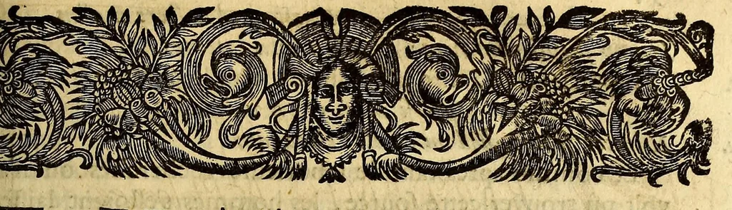 An illustration from Recueil de divers voyages faits en Afrique et en l'Amerique, qui n'on t point esté encore publiez; : contenant l'origine, les moeurs, les coûtumes & le commerce des habitans de ces deux parties du monde. : Avec des traitez curieux touchant la Haute Ethyopie, le débordement du Nil, la mer Rouge, & le Prete-Jean. : Le tout enrichi de figures, & de cartes geographiques, qui servent à l'intelligence des choses contenuës en ce volume, 1674, leaf 323