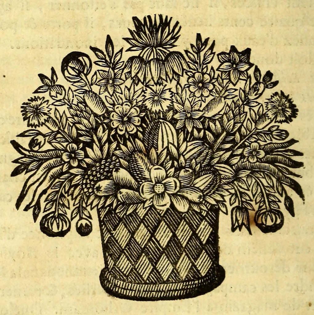 An illustration from Recueil de divers voyages faits en Afrique et en l'Amerique, qui n'on t point esté encore publiez; : contenant l'origine, les moeurs, les coûtumes & le commerce des habitans de ces deux parties du monde. : Avec des traitez curieux touchant la Haute Ethyopie, le débordement du Nil, la mer Rouge, & le Prete-Jean. : Le tout enrichi de figures, & de cartes geographiques, qui servent à l'intelligence des choses contenuës en ce volume, 1674, leaf 332