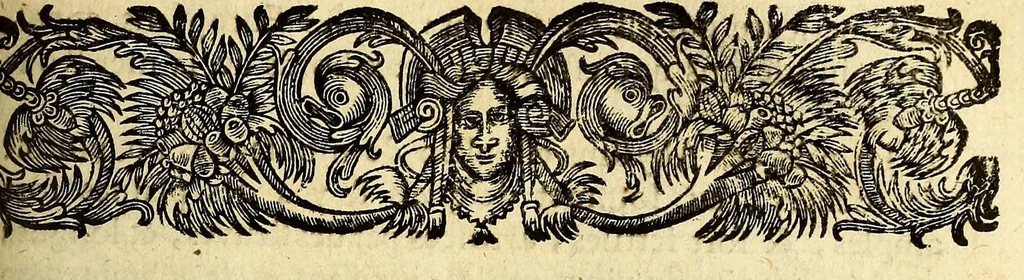 An illustration from Recueil de divers voyages faits en Afrique et en l'Amerique, qui n'on t point esté encore publiez; : contenant l'origine, les moeurs, les coûtumes & le commerce des habitans de ces deux parties du monde. : Avec des traitez curieux touchant la Haute Ethyopie, le débordement du Nil, la mer Rouge, & le Prete-Jean. : Le tout enrichi de figures, & de cartes geographiques, qui servent à l'intelligence des choses contenuës en ce volume, 1674, leaf 343