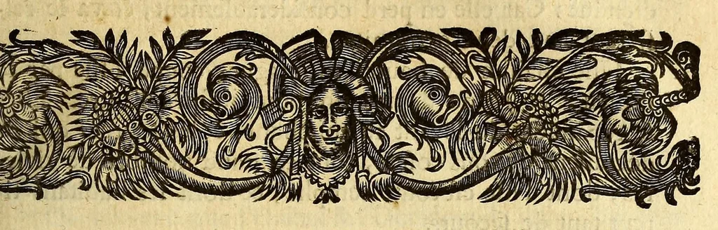 An illustration from Recueil de divers voyages faits en Afrique et en l'Amerique, qui n'on t point esté encore publiez; : contenant l'origine, les moeurs, les coûtumes & le commerce des habitans de ces deux parties du monde. : Avec des traitez curieux touchant la Haute Ethyopie, le débordement du Nil, la mer Rouge, & le Prete-Jean. : Le tout enrichi de figures, & de cartes geographiques, qui servent à l'intelligence des choses contenuës en ce volume, 1674, leaf 437