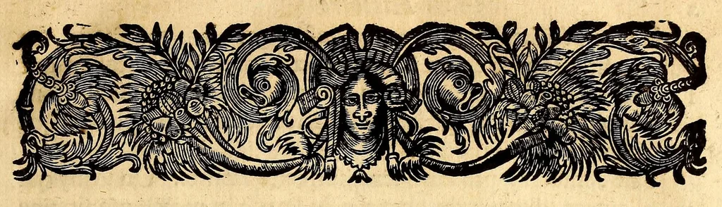 An illustration from Recueil de divers voyages faits en Afrique et en l'Amerique, qui n'on t point esté encore publiez; : contenant l'origine, les moeurs, les coûtumes & le commerce des habitans de ces deux parties du monde. : Avec des traitez curieux touchant la Haute Ethyopie, le débordement du Nil, la mer Rouge, & le Prete-Jean. : Le tout enrichi de figures, & de cartes geographiques, qui servent à l'intelligence des choses contenuës en ce volume, 1684, leaf 19
