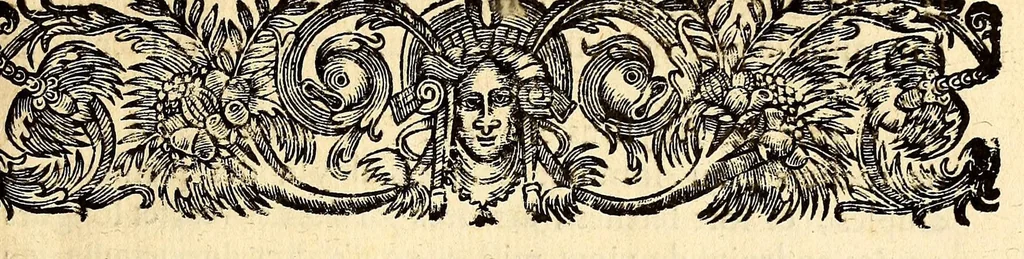An illustration from Recueil de divers voyages faits en Afrique et en l'Amerique, qui n'on t point esté encore publiez; : contenant l'origine, les moeurs, les coûtumes & le commerce des habitans de ces deux parties du monde. : Avec des traitez curieux touchant la Haute Ethyopie, le débordement du Nil, la mer Rouge, & le Prete-Jean. : Le tout enrichi de figures, & de cartes geographiques, qui servent à l'intelligence des choses contenuës en ce volume, 1684, leaf 299