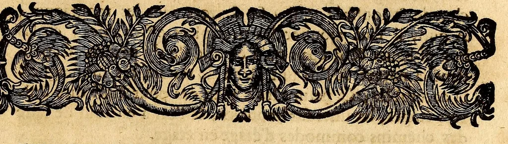 An illustration from Recueil de divers voyages faits en Afrique et en l'Amerique, qui n'on t point esté encore publiez; : contenant l'origine, les moeurs, les coûtumes & le commerce des habitans de ces deux parties du monde. : Avec des traitez curieux touchant la Haute Ethyopie, le débordement du Nil, la mer Rouge, & le Prete-Jean. : Le tout enrichi de figures, & de cartes geographiques, qui servent à l'intelligence des choses contenuës en ce volume, 1684, leaf 457