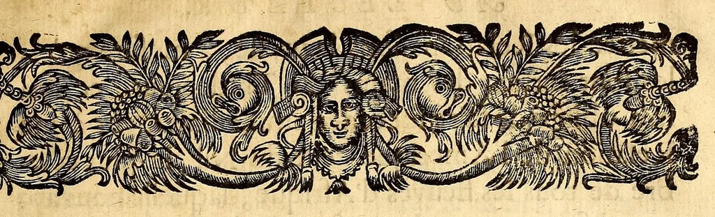 An illustration from Recueil de divers voyages faits en Afrique et en l'Amerique, qui n'on t point esté encore publiez; : contenant l'origine, les moeurs, les coûtumes & le commerce des habitans de ces deux parties du monde. : Avec des traitez curieux touchant la Haute Ethyopie, le débordement du Nil, la mer Rouge, & le Prete-Jean. : Le tout enrichi de figures, & de cartes geographiques, qui servent à l'intelligence des choses contenuës en ce volume, 1684, leaf 9