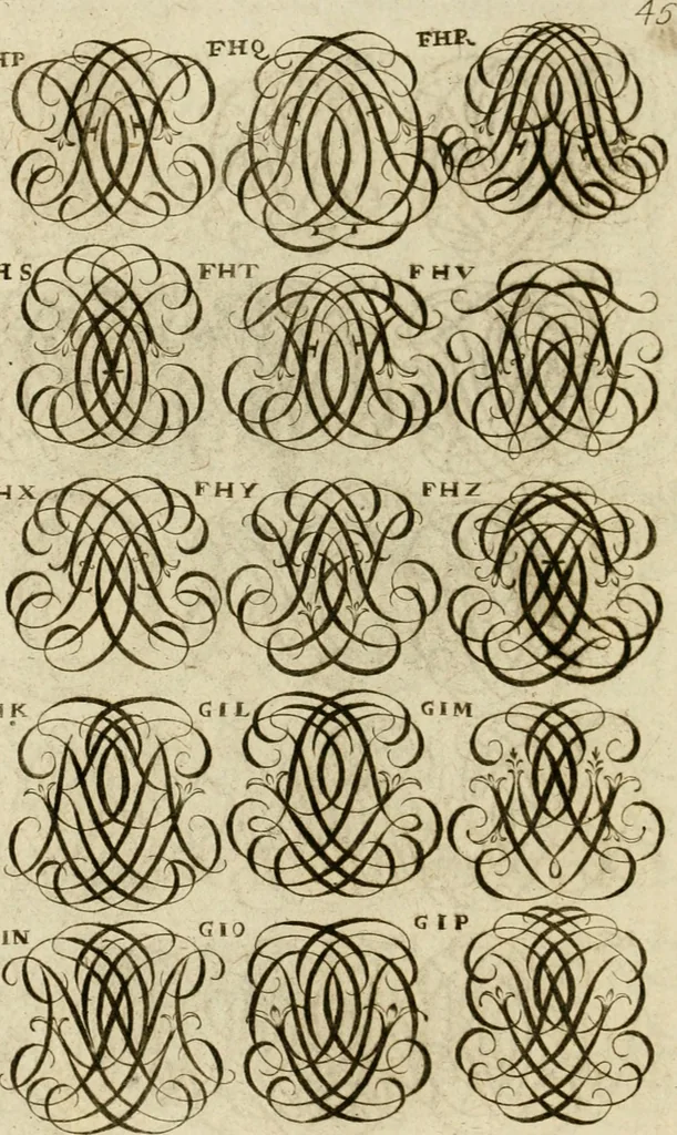 An illustration from Recueil d'emblêmes, devises, medailles, et figures hieroglyphiques, au nombre de plus de douze cent, avec leurs explications : accompagné de plus de deux mille chiffres fleuronnez simples, doubles & triples ... : cet ouvrage qui est enrichy de deux cens cinquante planches en taille-douce, est très-utile aux graveurs, peintres, sculpteurs, orfevres, brodeurs, serruriers & à tous ceux qui travaillent au dessein, 1724, leaf 203