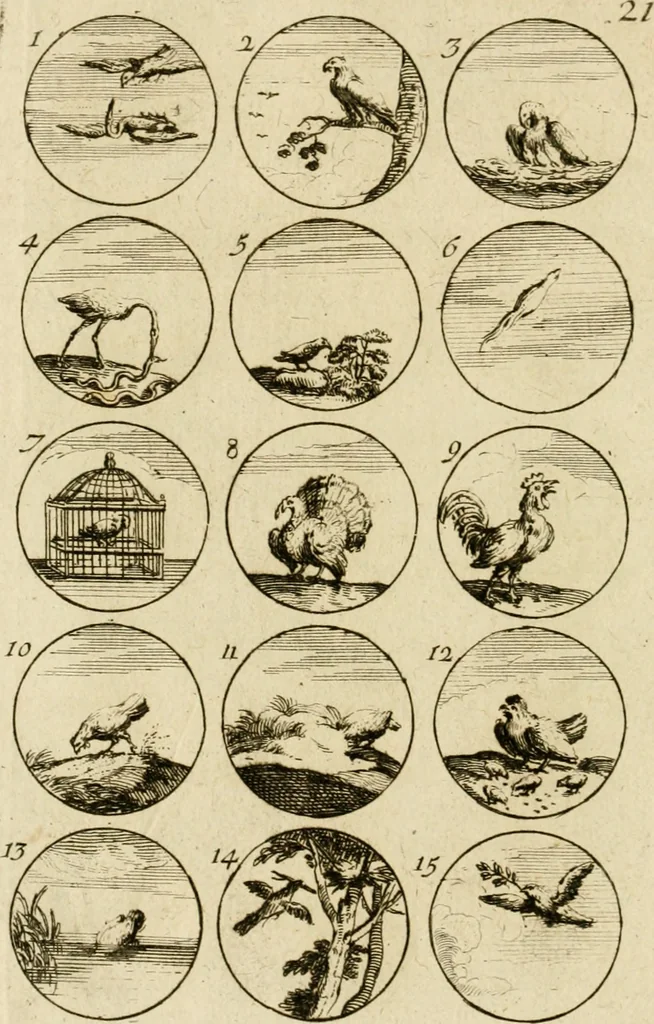An illustration from Recueil d'emblêmes, devises, medailles, et figures hieroglyphiques, au nombre de plus de douze cent, avec leurs explications : accompagné de plus de deux mille chiffres fleuronnez simples, doubles & triples ... : cet ouvrage qui est enrichy de deux cens cinquante planches en taille-douce, est très-utile aux graveurs, peintres, sculpteurs, orfevres, brodeurs, serruriers & à tous ceux qui travaillent au dessein, 1724, leaf 51