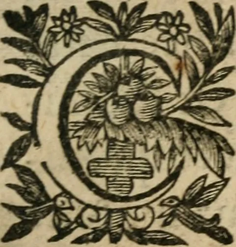 An illustration from Recueil d'emblemes diuers : auec des discours moraux, philosophiques, et politiques, tirez de diuers autheurs, anciens & modernes, 1638, leaf 100