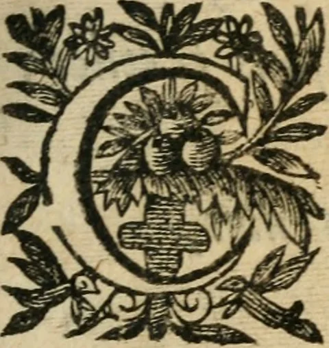 An illustration from Recueil d'emblemes diuers : auec des discours moraux, philosophiques, et politiques, tirez de diuers autheurs, anciens & modernes, 1638, leaf 110
