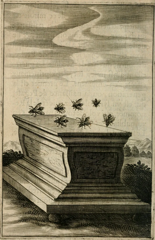 An illustration from Recueil d'emblemes diuers : auec des discours moraux, philosophiques, et politiques, tirez de diuers autheurs, anciens & modernes, 1638, leaf 143