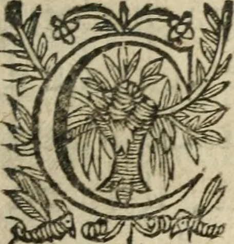 An illustration from Recueil d'emblemes diuers : auec des discours moraux, philosophiques, et politiques, tirez de diuers autheurs, anciens & modernes, 1638, leaf 240