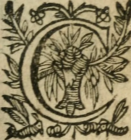 An illustration from Recueil d'emblemes diuers : auec des discours moraux, philosophiques, et politiques, tirez de diuers autheurs, anciens & modernes, 1638, leaf 308