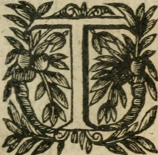 An illustration from Recueil d'emblemes diuers : auec des discours moraux, philosophiques, et politiques, tirez de diuers autheurs, anciens & modernes, 1638, leaf 358