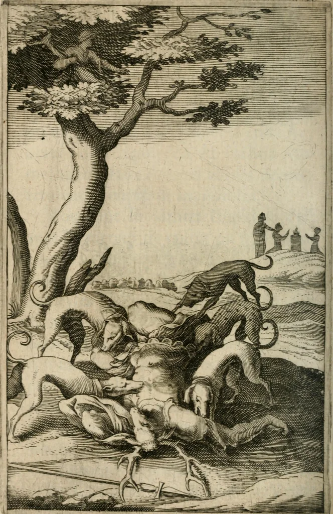 An illustration from Recueil d'emblemes diuers : auec des discours moraux, philosophiques, et politiques, tirez de diuers autheurs, anciens & modernes, 1638, leaf 387