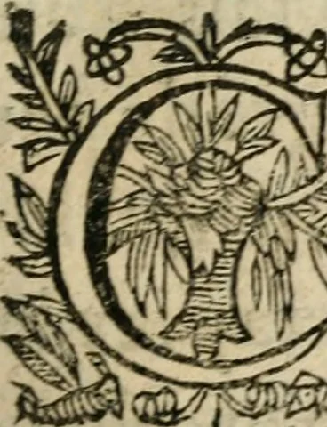An illustration from Recueil d'emblemes diuers : auec des discours moraux, philosophiques, et politiques, tirez de diuers autheurs, anciens & modernes, 1638, leaf 410