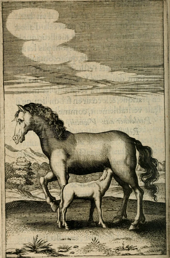 An illustration from Recueil d'emblemes diuers : auec des discours moraux, philosophiques, et politiques, tirez de diuers autheurs, anciens & modernes, 1638, leaf 427