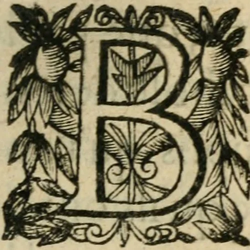 An illustration from Recueil d'emblemes diuers : auec des discours moraux, philosophiques, et politiques, tirez de diuers autheurs, anciens & modernes, 1638, leaf 428