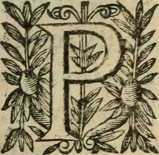 An illustration from Recueil d'emblemes diuers : auec des discours moraux, philosophiques, et politiques, tirez de diuers autheurs, anciens & modernes, 1638, leaf 440